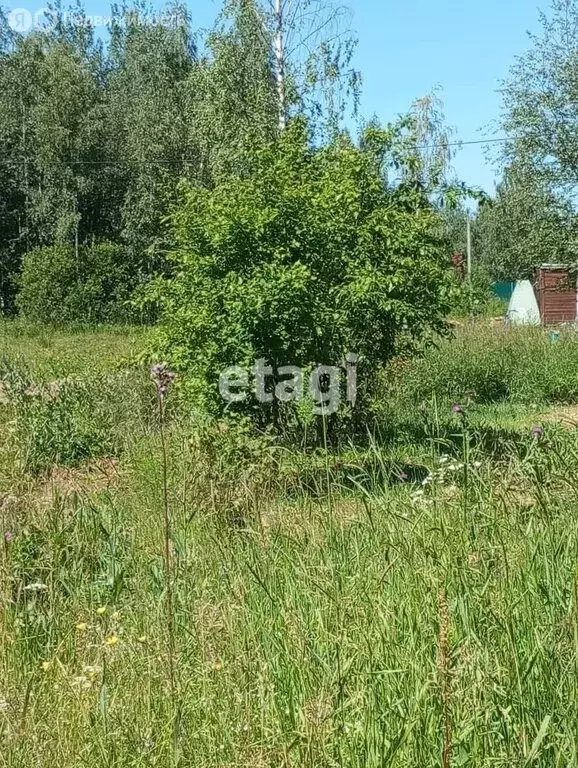 Участок в Ивангородское городское поселение, садоводческое ... - Фото 1