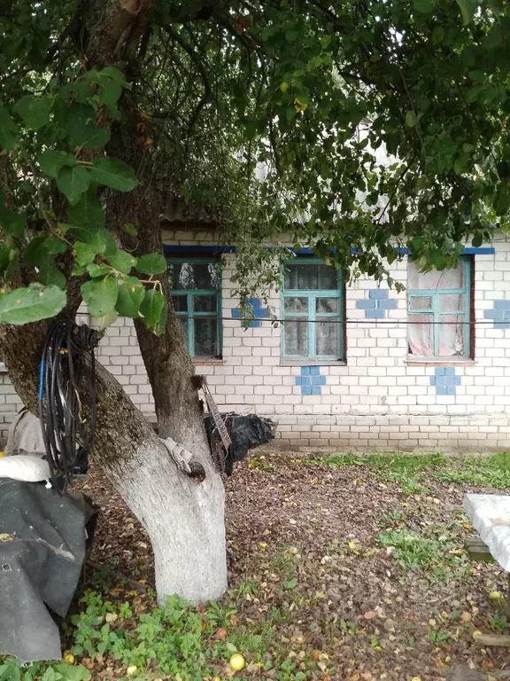 Дом в Курская область, Октябрьский район, Черницынский сельсовет, д. ... - Фото 1