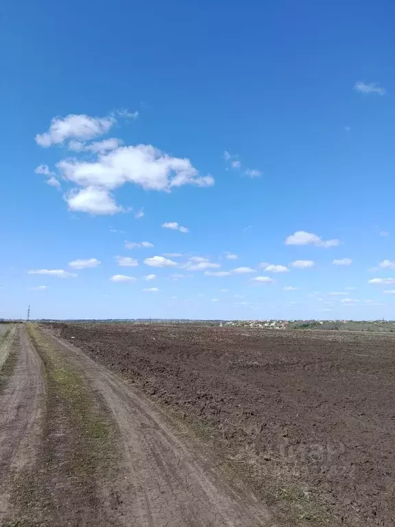 Участок в Белгородская область, Белгородский район, Дубовское с/пос  ... - Фото 0
