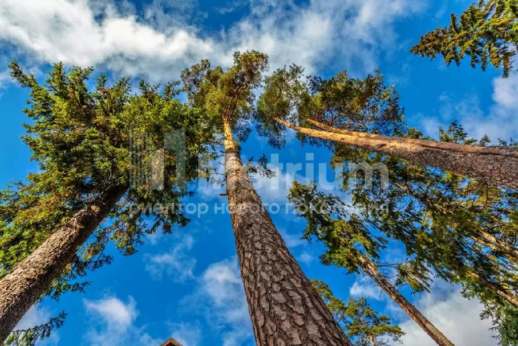 Продается дом в КП Жуковка-3 - Фото 2