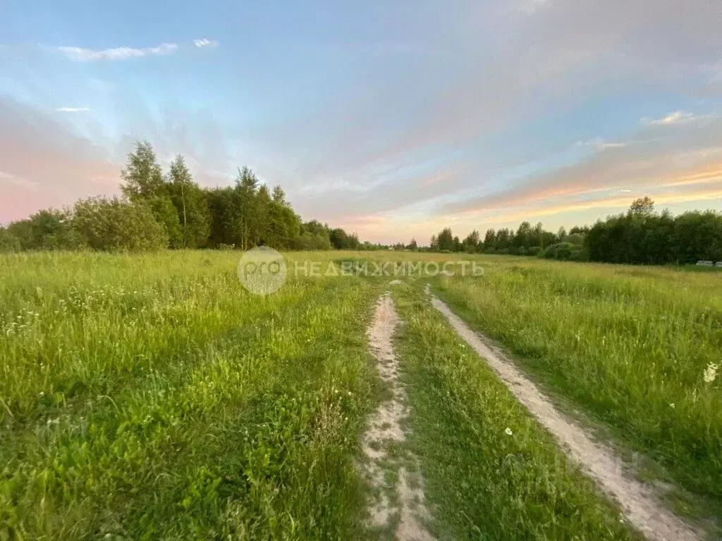 Участок в Рязанская область, Спасский район, Федотьевское с/пос, с. ... - Фото 0