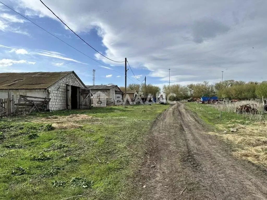 Участок в Пензенская область, Мокшанский район, Подгорненский ... - Фото 1