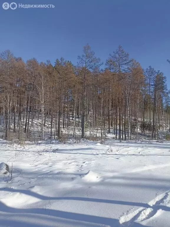 Участок в Иркутск, Байкальский тракт, 8-й километр (20 м) - Фото 1