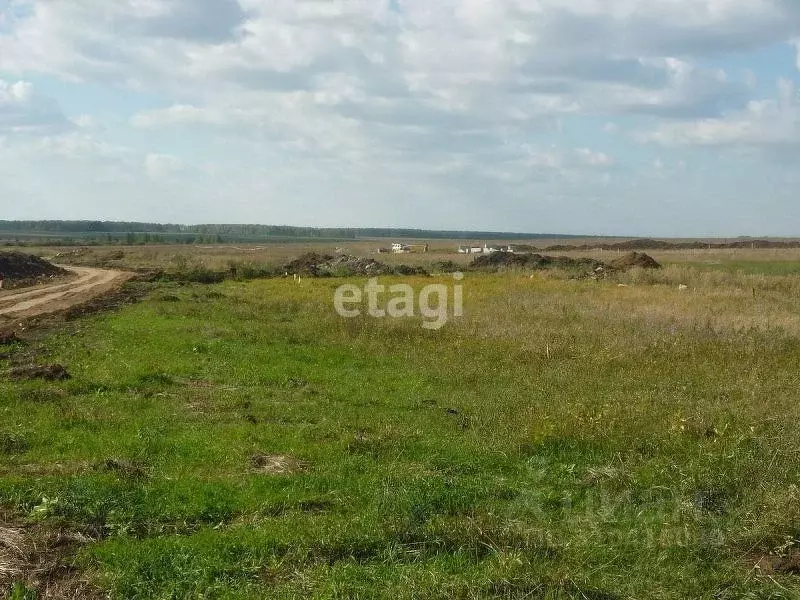 Участок в Челябинская область, Сосновский район, Краснопольское с/пос, ... - Фото 1