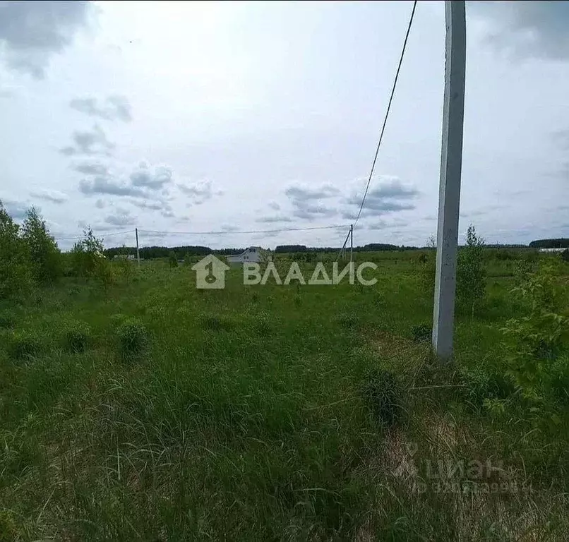 Участок в Нижегородская область, Богородский муниципальный округ, д. ... - Фото 1