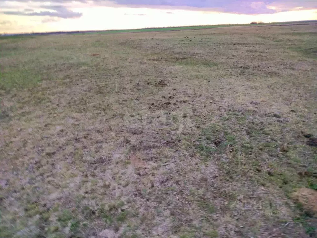 Участок в Саратовская область, Марксовский район, Зоркинское ... - Фото 1