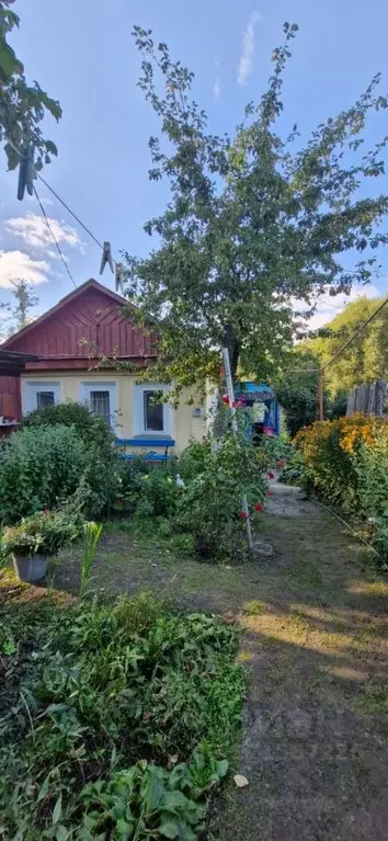 Дом в Брянская область, Брянск ул. Некрасова (79 м) - Фото 0