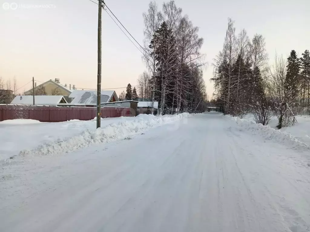 Участок в Архангельская область, Приморский муниципальный округ, ... - Фото 2