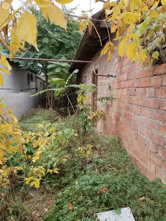 Дом в Гулькевичи, улица Шевченко (23.9 м) - Фото 2