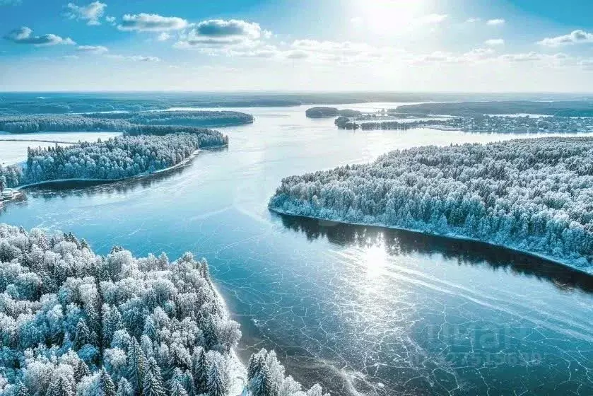 Участок в Московская область, Клин городской округ, Ели Эстейт ... - Фото 2