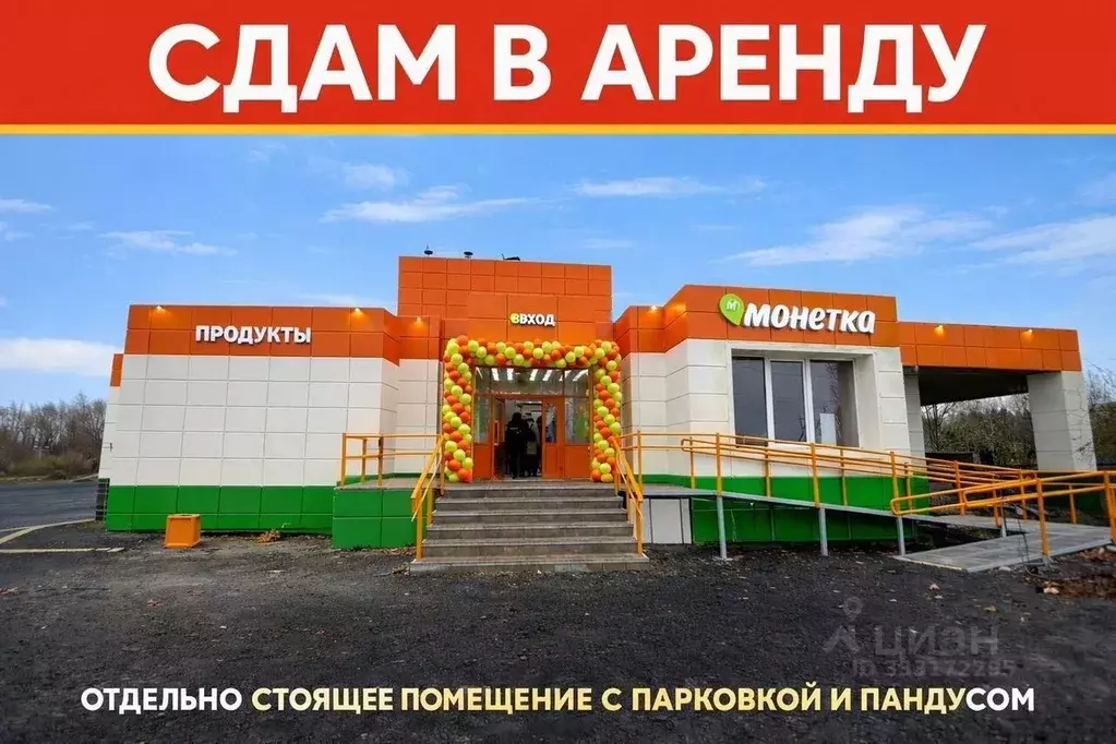 Помещение свободного назначения в Ленинградская область, Лужский ... - Фото 1