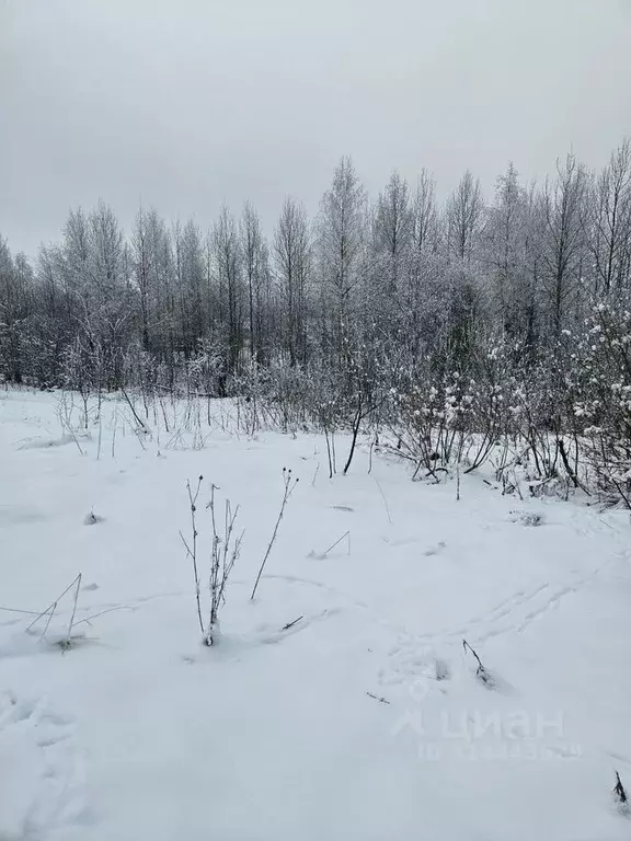 Участок в Новгородская область, Валдай 1-я Братская ул. (10.0 сот.) - Фото 0