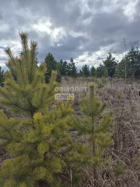 Участок в Свердловская область, Екатеринбург муниципальное ... - Фото 1