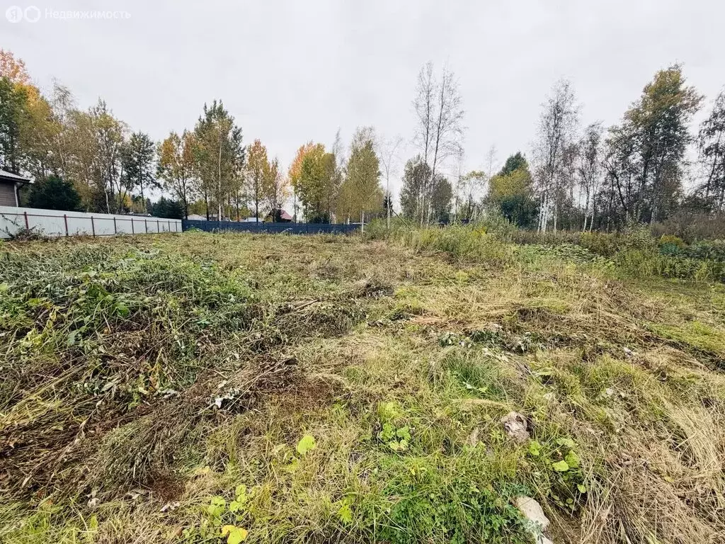Участок в Ленинградская область, Всеволожск (8 м) - Фото 2