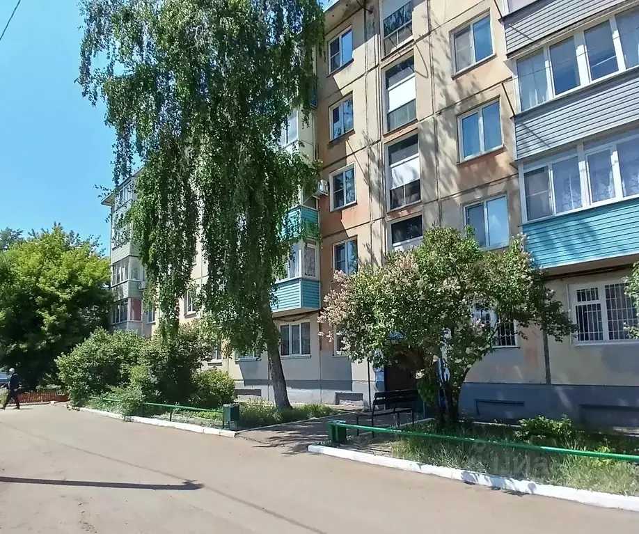 2-к кв. Алтайский край, Рубцовск Северная ул., 21 (46.0 м) - Фото 1