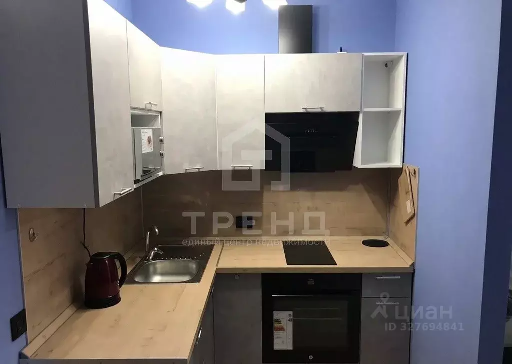 Студия Санкт-Петербург Усть-Славянка тер., просп. Советский, 12 (25.0 ... - Фото 2