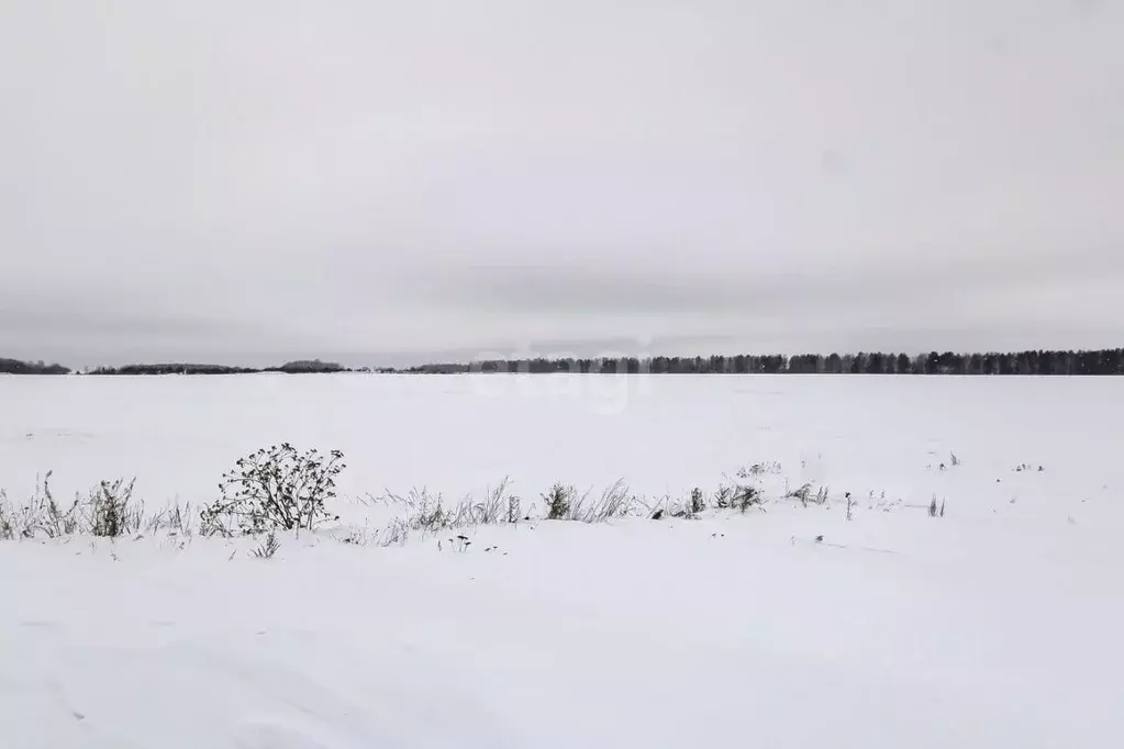Участок в Тюменская область, Тюменский район, с. Кулига  (7.2 сот.) - Фото 0