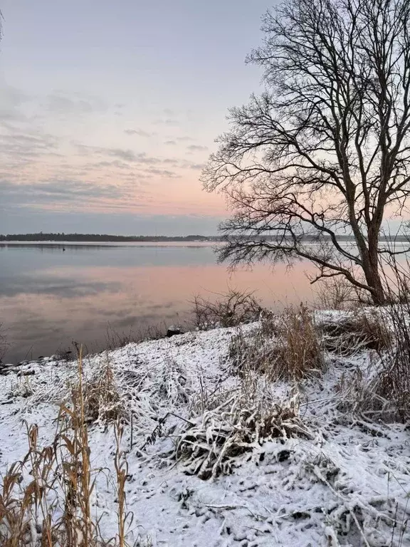 Дом в Ленинградская область, Приозерский район, Громовское с/пос, ... - Фото 1