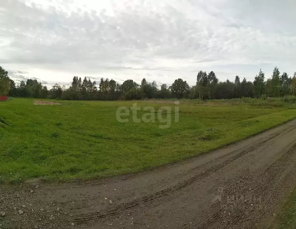 Участок в Вологодская область, Череповецкий район, Уломское с/пос, д. ... - Фото 1