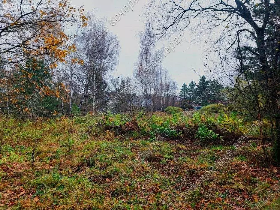 Участок в Московская область, городской округ Химки, деревня Фёдоровка ... - Фото 1