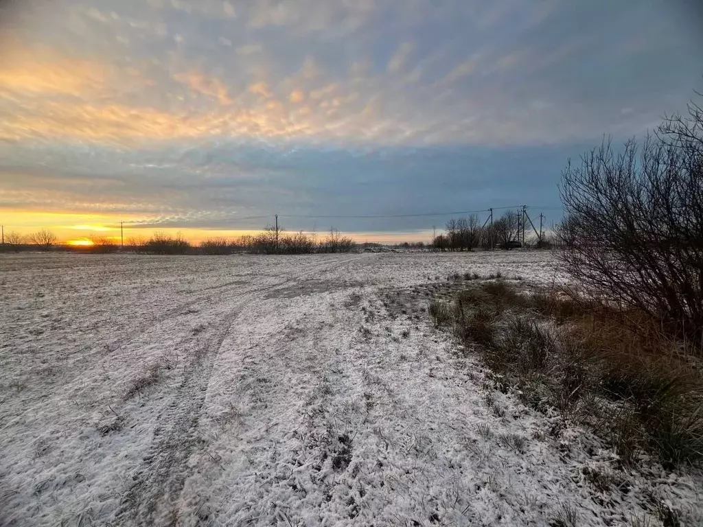 Участок в Ленинградская область, Ломоносовский район, Аннинское ... - Фото 2