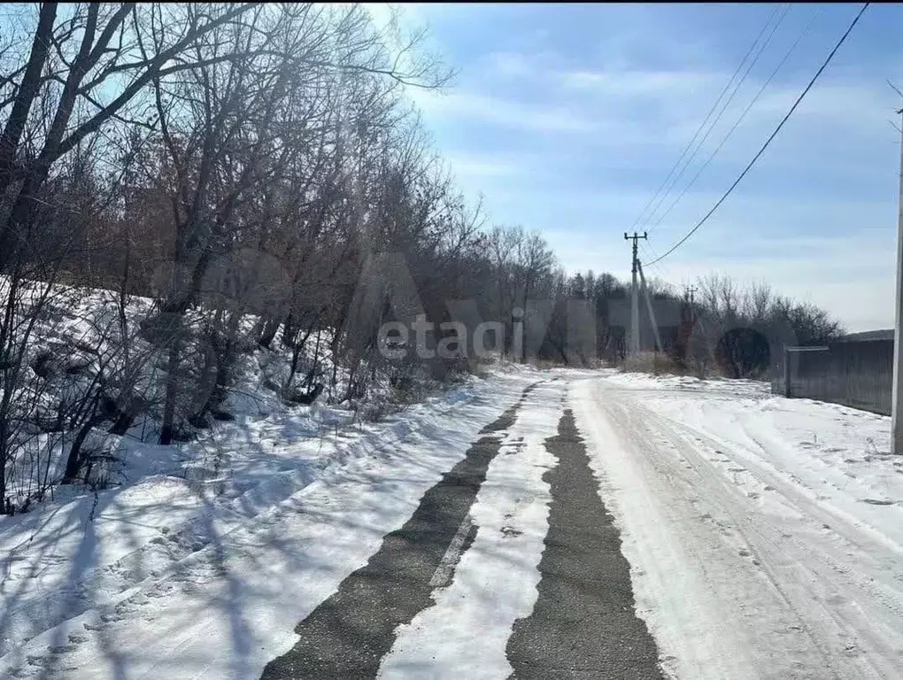 Участок в Амурская область, Благовещенск  (10.0 сот.) - Фото 1