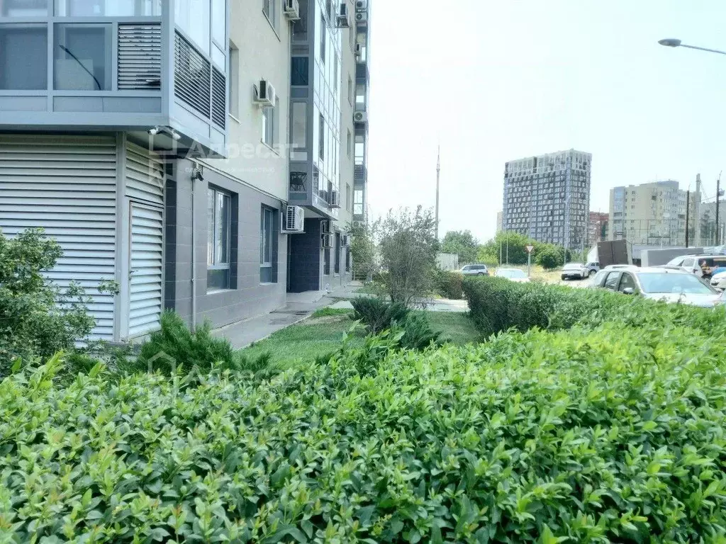 1-к кв. Волгоградская область, Волгоград ул. Ханпаши Нурадилова, 7 ... - Фото 1