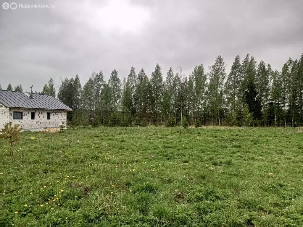 Участок в Рахьинское городское поселение, массив Рахья (12 м) - Фото 2