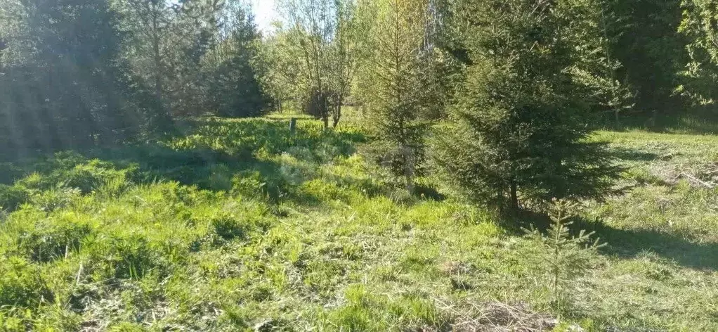 Участок в Пермский край, Пермский муниципальный округ, пос. ... - Фото 1