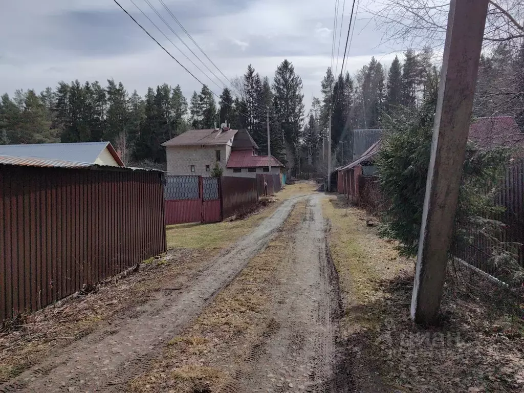 Участок в Владимирская область, Киржачский район, Филипповское ... - Фото 1