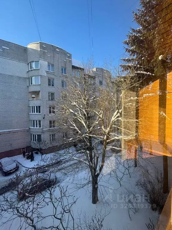 1-к кв. Брянская область, Брянск ул. Любезного, 7 (31.5 м) - Фото 1