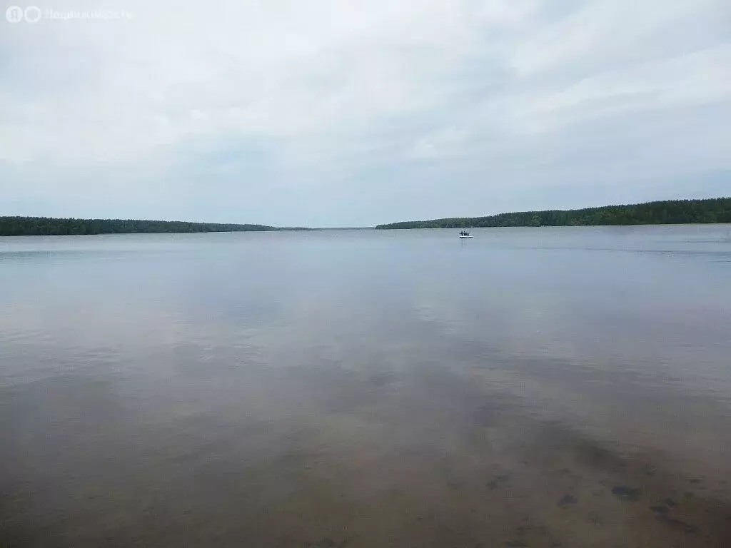 Участок в Кингисеппский район, деревня Нежново (440 м) - Фото 1