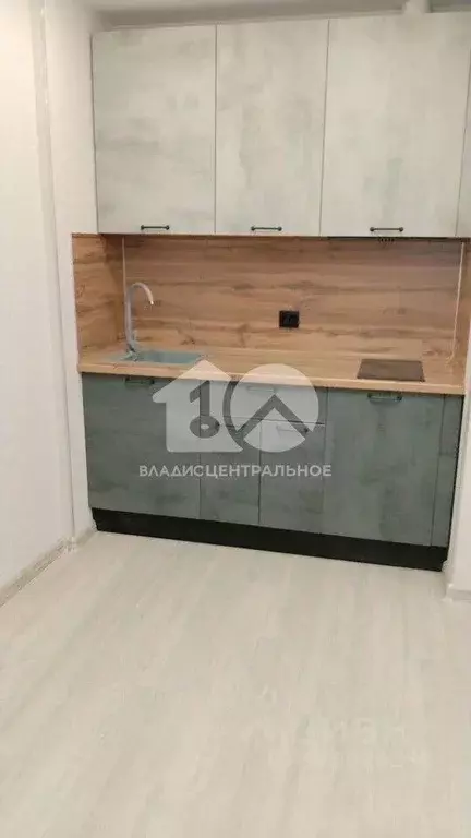 1-к кв. Новосибирская область, Новосибирск ул. Коминтерна, 120 (40.0 ... - Фото 2