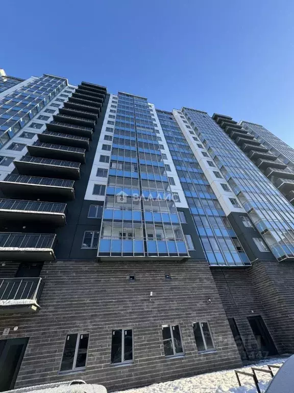 Студия Ленинградская область, Мурино Всеволожский район, ул. ... - Фото 1