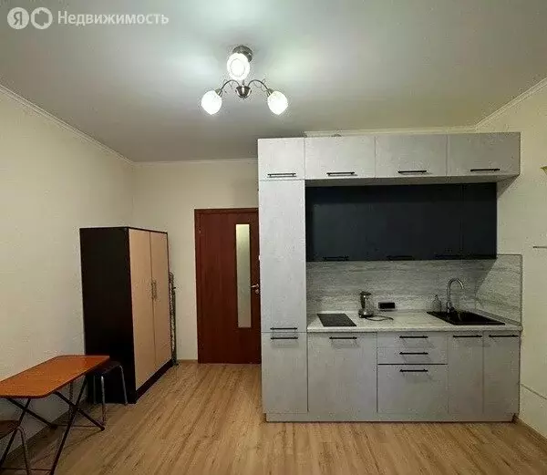 Квартира-студия: Мурино, Охтинская аллея, 14 (24.1 м) - Фото 1