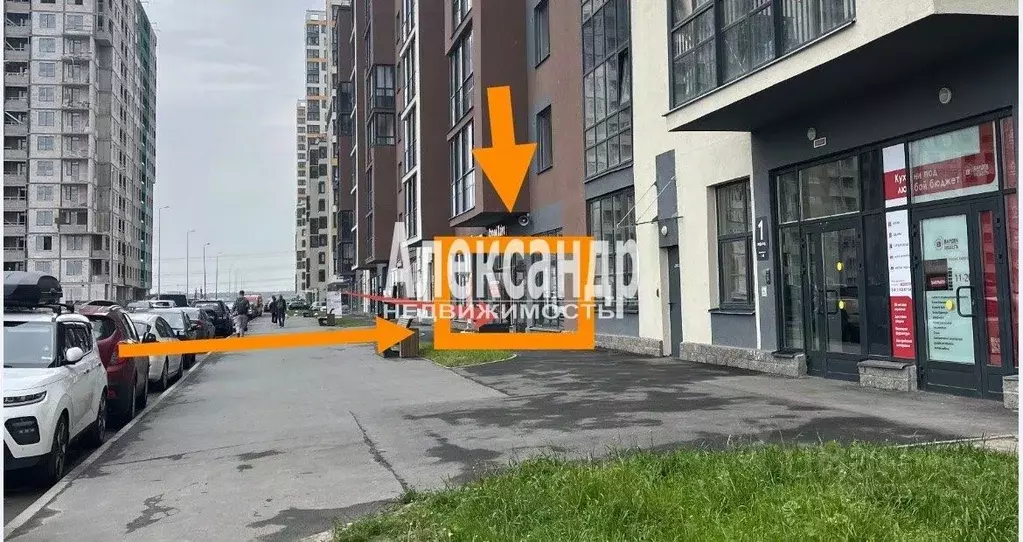 Торговая площадь в Ленинградская область, Всеволожский район, ... - Фото 1