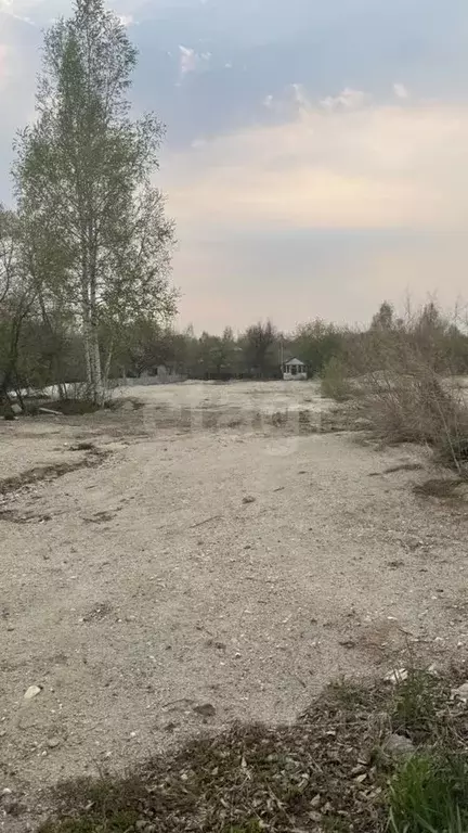 Участок в Амурская область, Благовещенск Дружба СНТ,  (9.4 сот.) - Фото 1