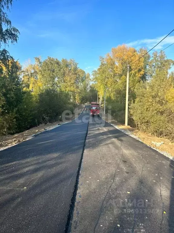 Участок в Новосибирская область, Новосибирский район, Мичуринский ... - Фото 1