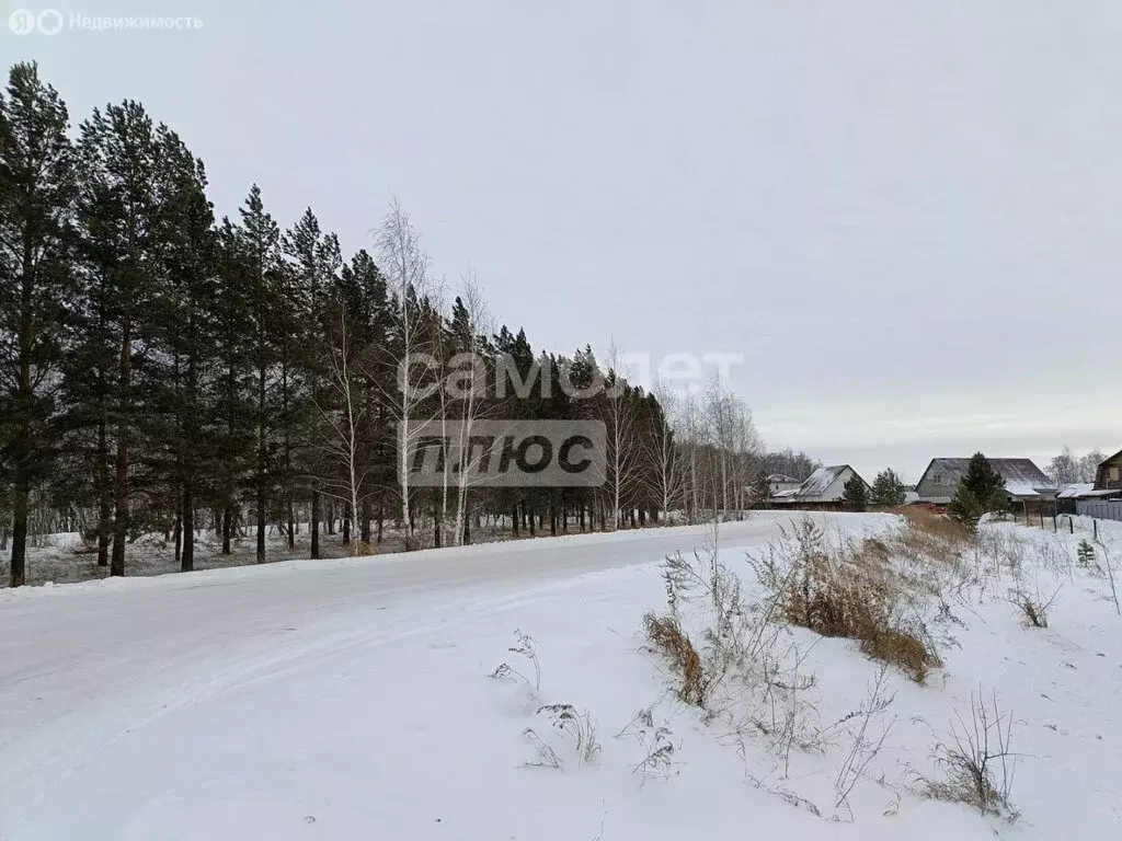 Участок в Новосибирский район, Верх-Тулинский сельсовет, садовое ... - Фото 0