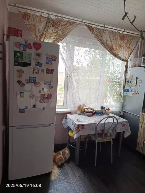 2-к. квартира, 50 м, 2/5 эт. - Фото 1