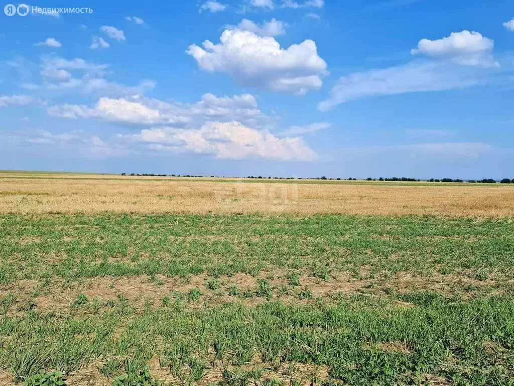 Участок в село Веселовка, Урожайная улица (200 м) - Фото 1