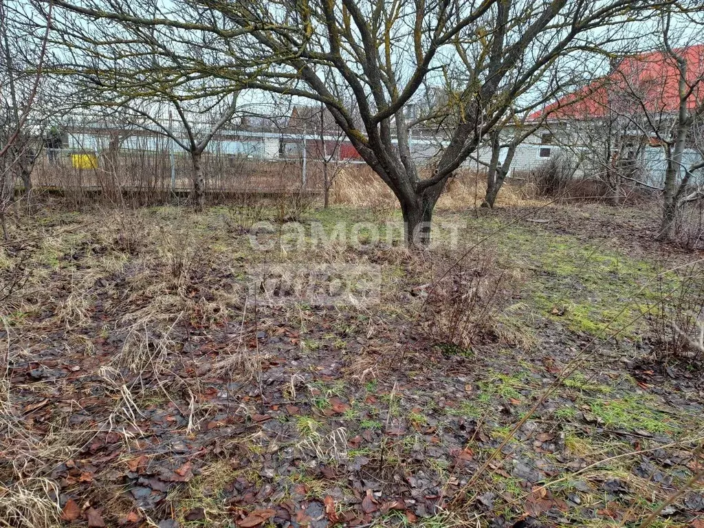 Участок в Краснодарский край, Динской район, Мичуринское с/пос, пос. ... - Фото 1