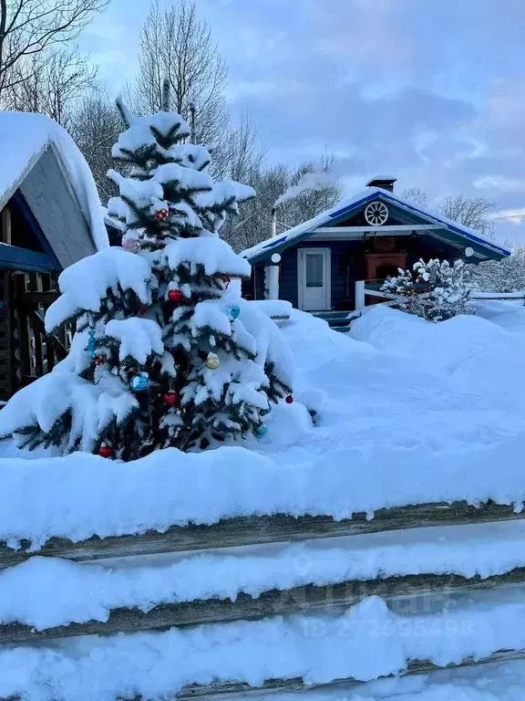 Дом в Новгородская область, Новгородский район, Ракомское с/пос, д. ... - Фото 1