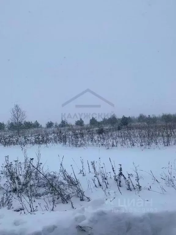 Участок в Калужская область, Перемышльский район, Большие Козлы с/пос, ... - Фото 2