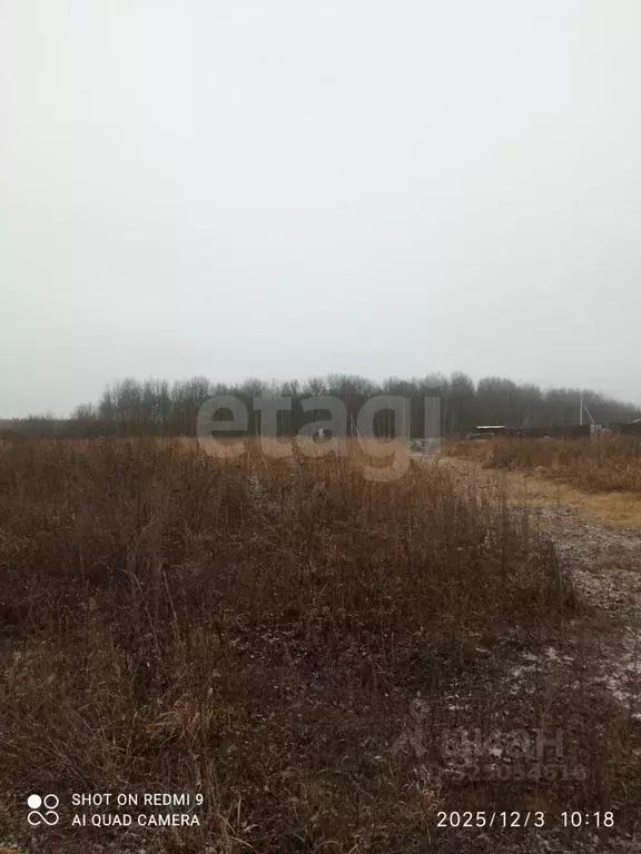 Участок в Мордовия, Кочкуровский район, с. Булгаково  (10.0 сот.) - Фото 2