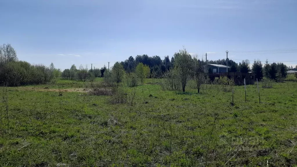 Участок в Московская область, Дмитровский муниципальный округ, Земляки ... - Фото 1