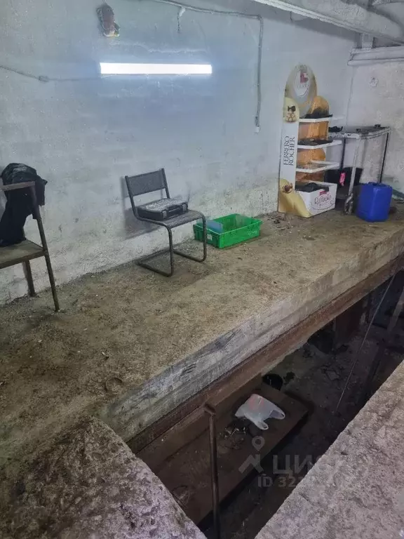 Гараж в Иркутская область, Иркутск Студгородок мкр,  (22 м) - Фото 2