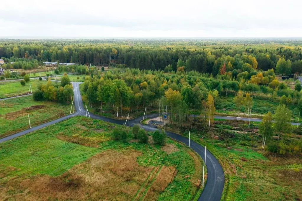 Участок в Ленинградская область, Всеволожский район, Колтушское ... - Фото 1