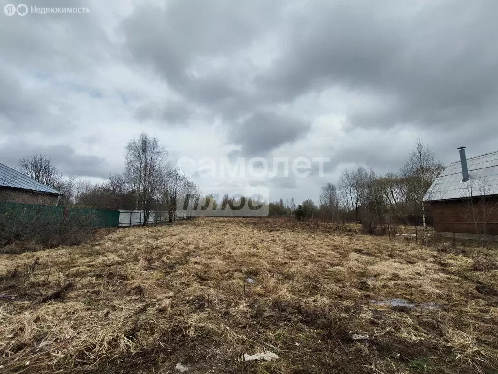 Участок в Владимирская область, Александровский муниципальный округ, ... - Фото 1