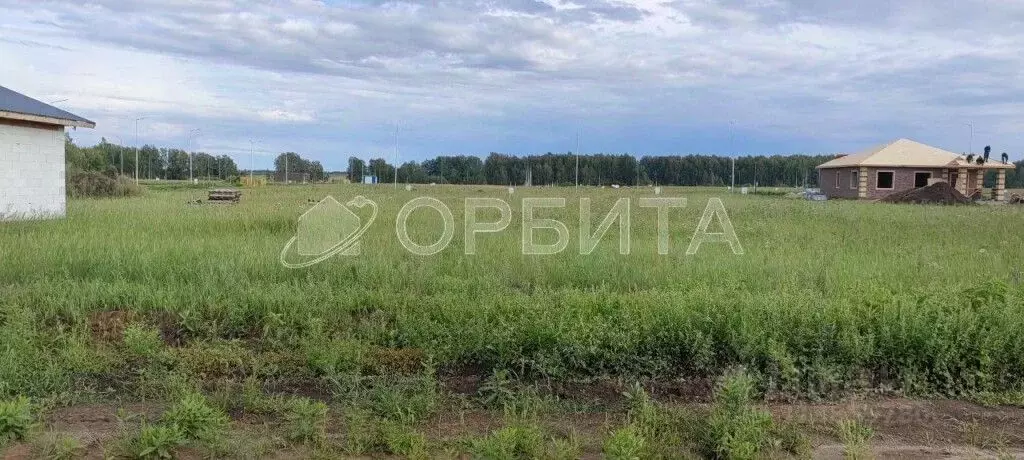 Участок в Тюменская область, Тюменский район, Новокаменский кп ул. ... - Фото 1